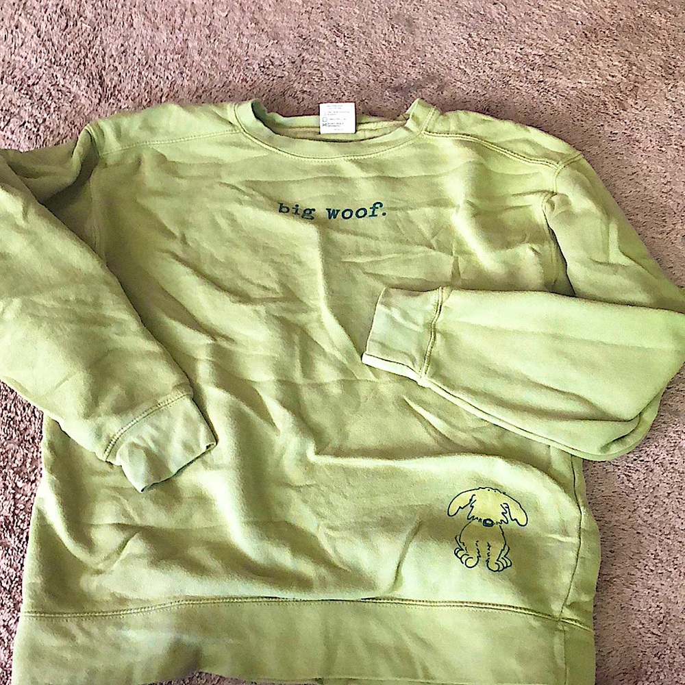 🐶 COMFORT COLORS HOODIE 🐶